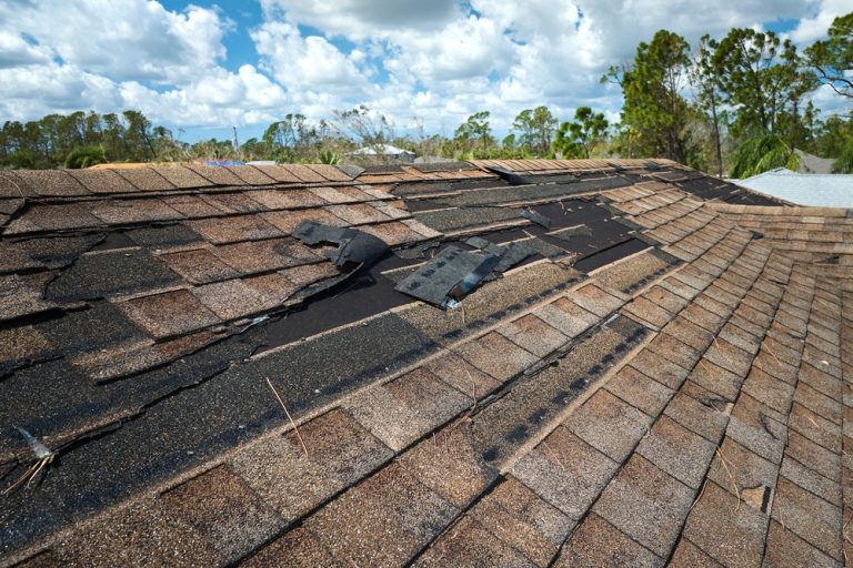 How to Spot Roof Damage After a Storm: A Homeowner’s Guide – One Stop ...