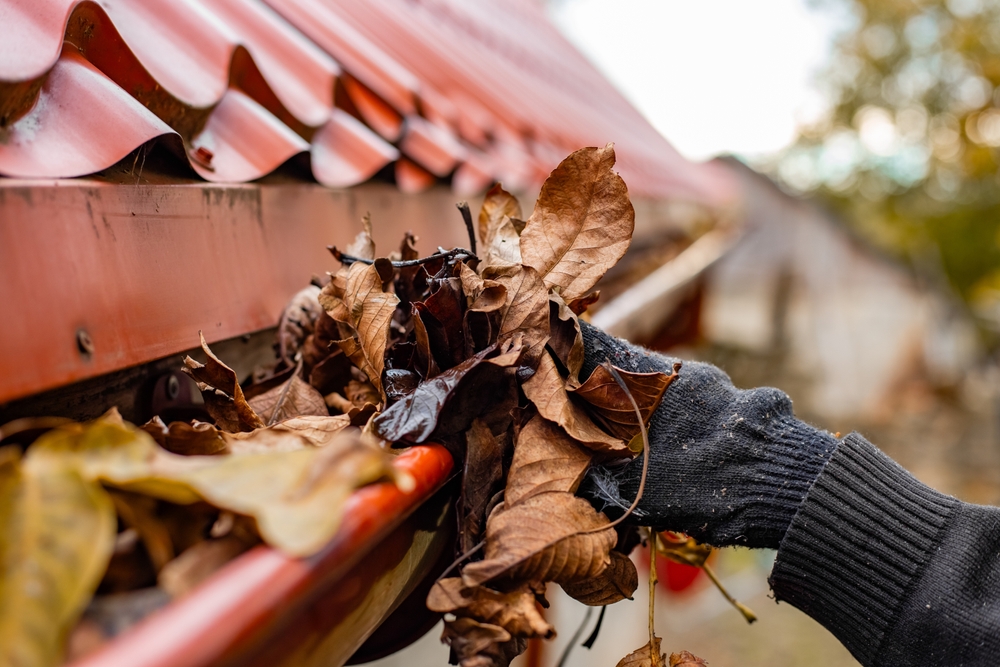 The Ultimate Guide to Roof Maintenance for Homeowners