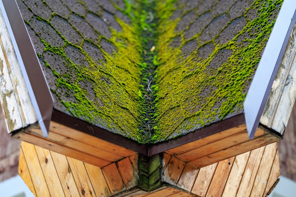 How to Increase the Lifespan of Your Roof with Simple Maintenance