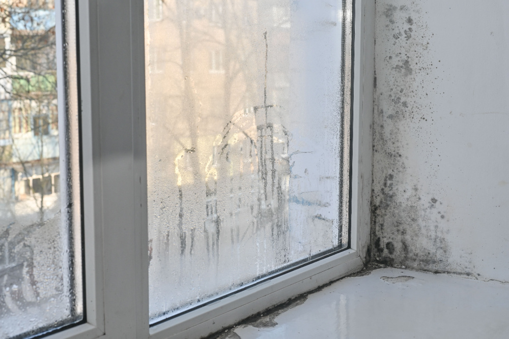 The Best Ways to Reduce Humidity in Your Home
